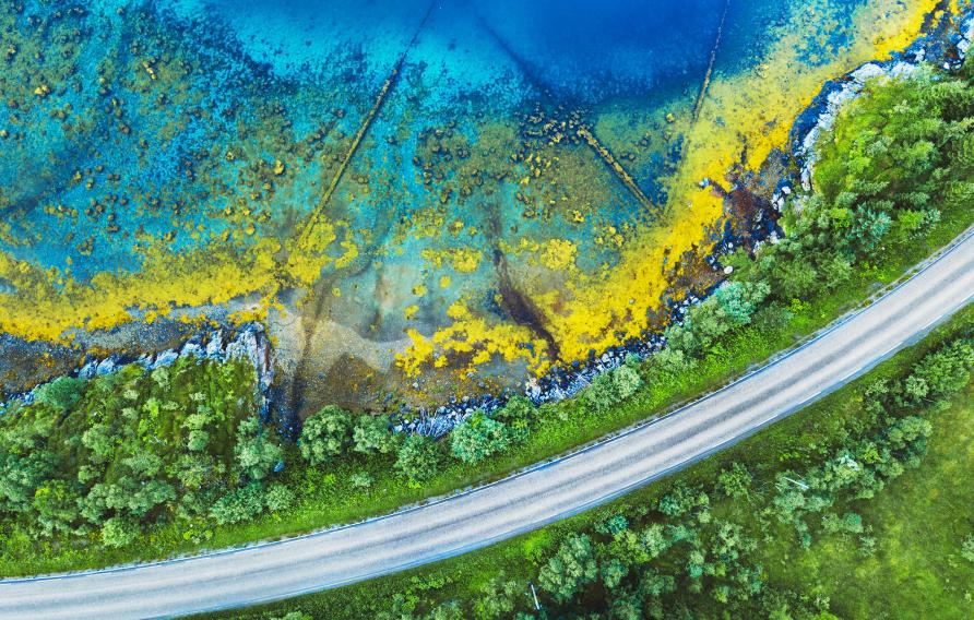 arial view of a road through trees beside tropical water