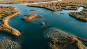 An aerial view of the flowing water in grasslands in bright sunlight in Murrells Inlet, Georgetown county, South Carolina, United States