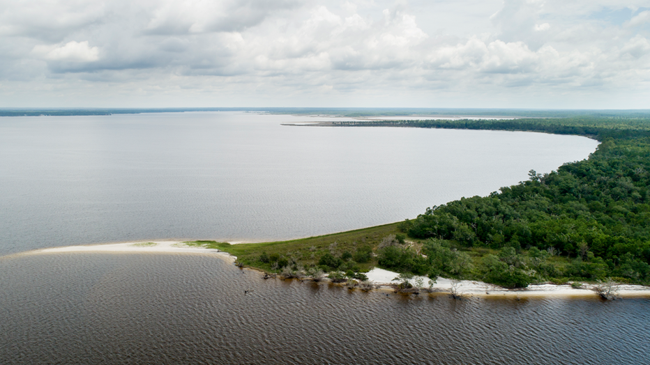 Oyster Restoration Site