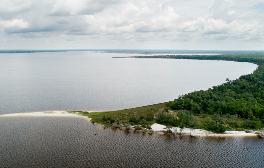 Oyster Restoration Site