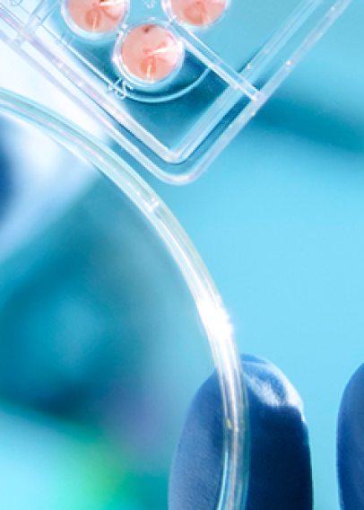 A scientist using a pipette with a microtiter plate and a petri dish